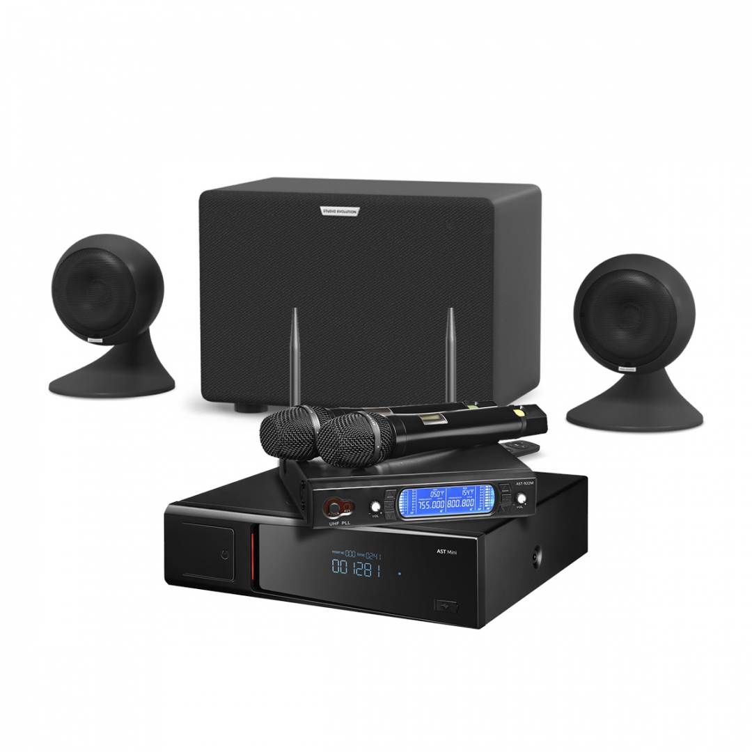 караоке-комплект AST Mini Sound Sphere в Ханты-Мансийском АО