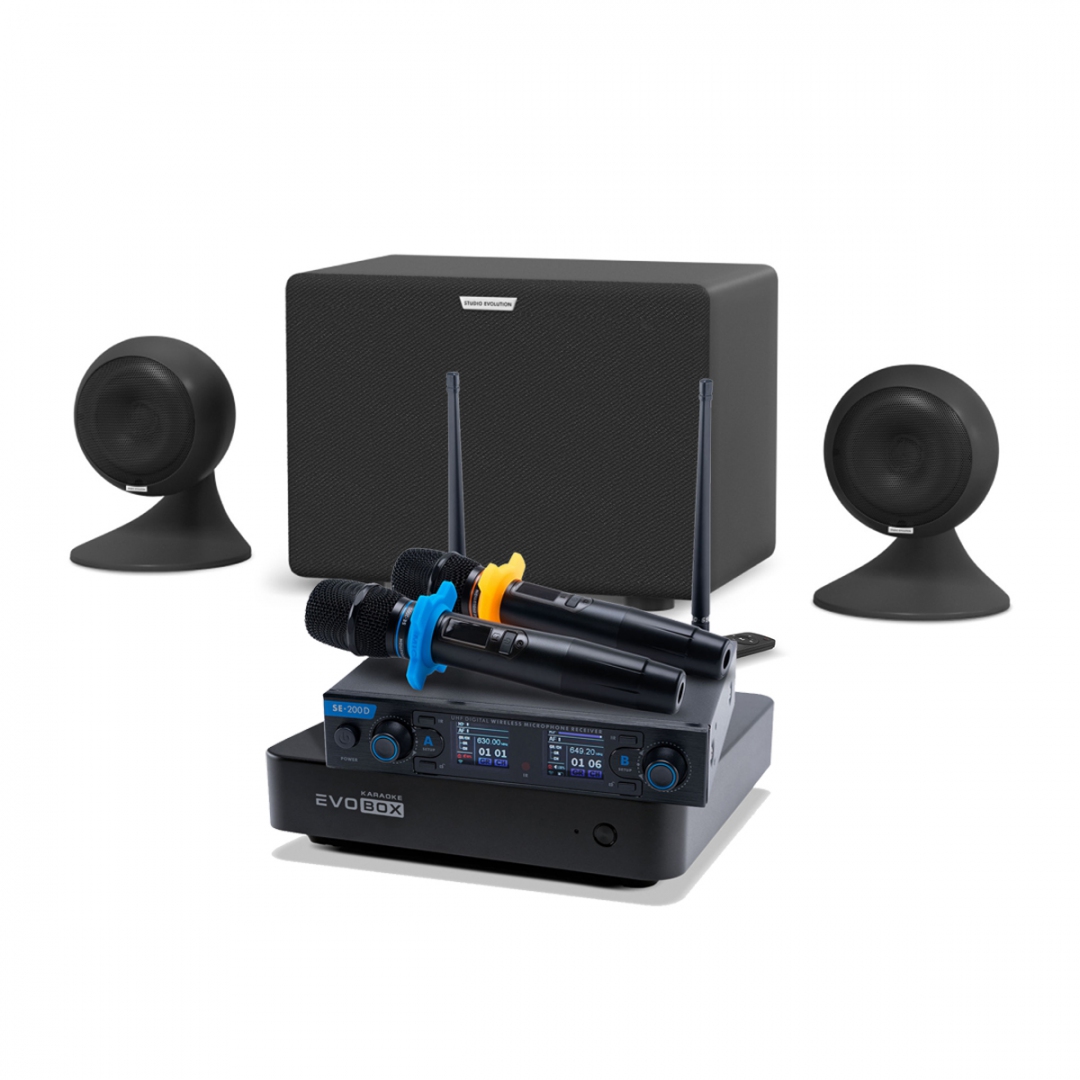 караоке-комплект EVOBOX + EvoSound Sphere 2.1 в Ханты-Мансийском АО