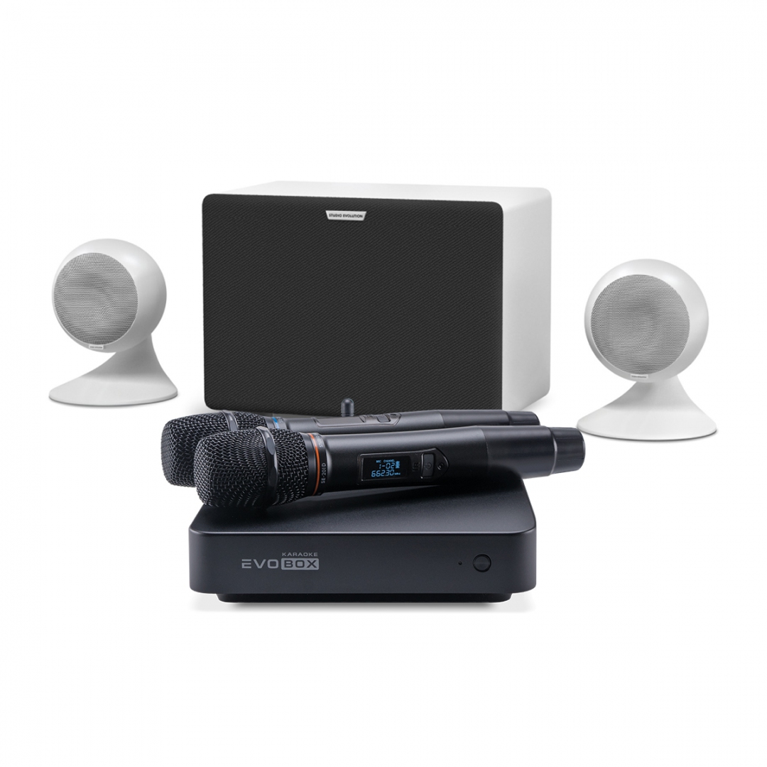 караоке-комплект EVOBOX Classic + EvoSound Sphere 2.1 в Ханты-Мансийском АО