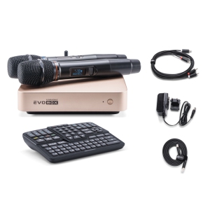 EVOBOX Classic караоке-система для дома в Ханты-Мансийском АО