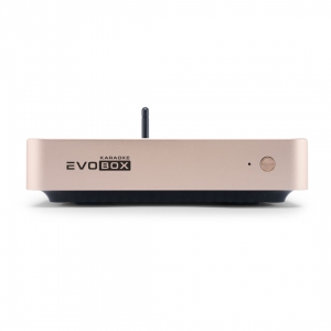 EVOBOX Plus караоке-система для дома в Ханты-Мансийском АО