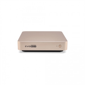 EVOBOX с микрофонами в Ханты-Мансийском АО